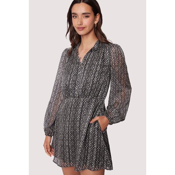 Lost + Wander Dresses & Skirts - NWT Lost + Wander Long Sleeve Chiffon Mira Mini Dress Size Medium